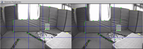 ../_images/StereoFeatures.gif